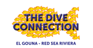 The Dive Connection